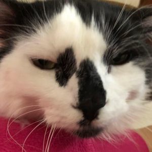 Meet your Posher, Nancy